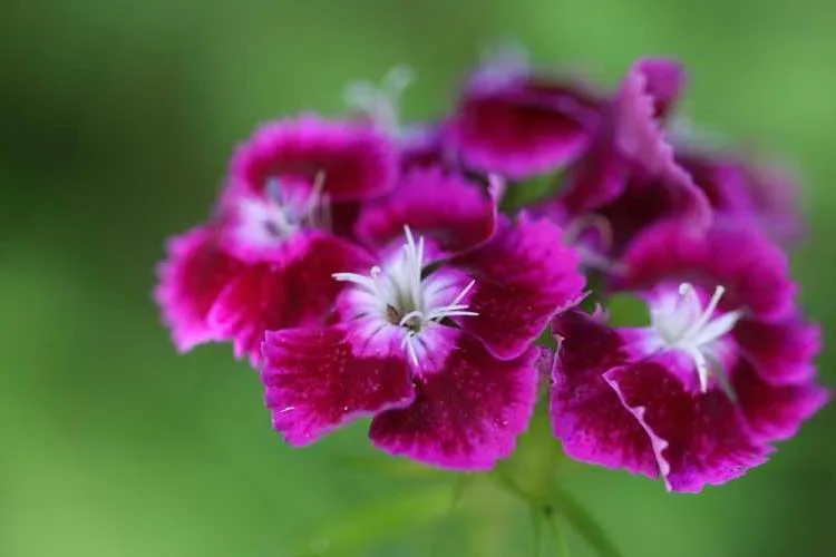 Photo2 6.webp